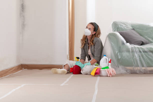 Reliable Mold Testing contractor in Shippensburg, PA by WQB Mold Removal