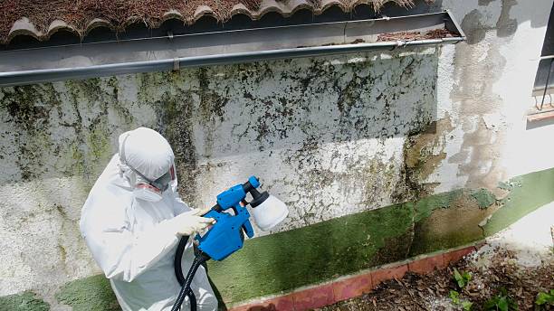 Top rated local Mold Testing specialists in Shippensburg, PA